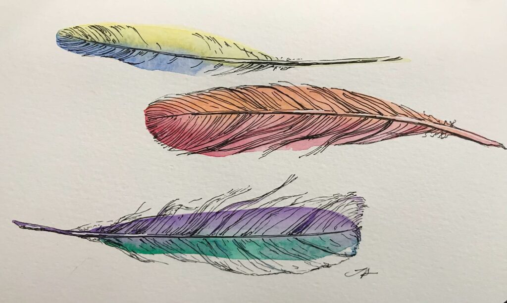 Day 4 Feathers