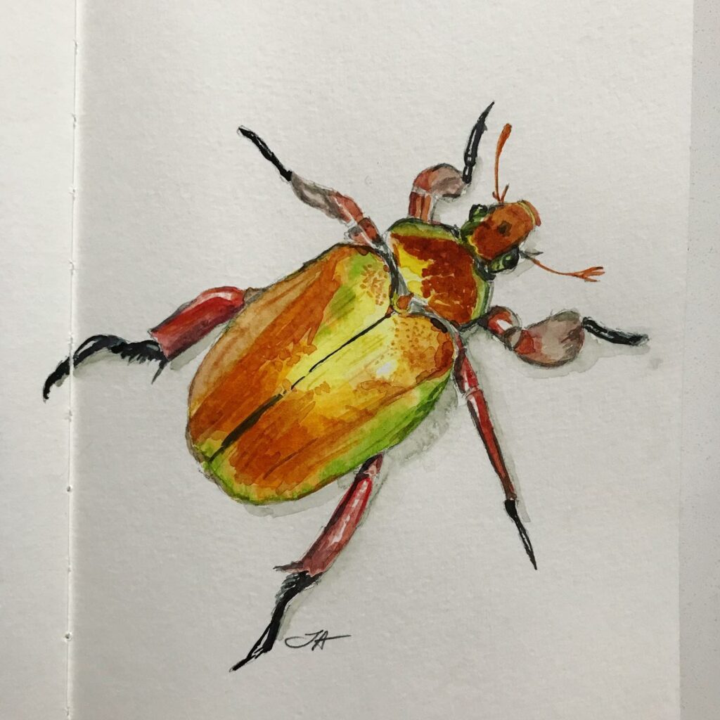 Day 21 Insects